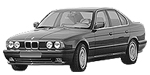 BMW E34 B3184 Fault Code